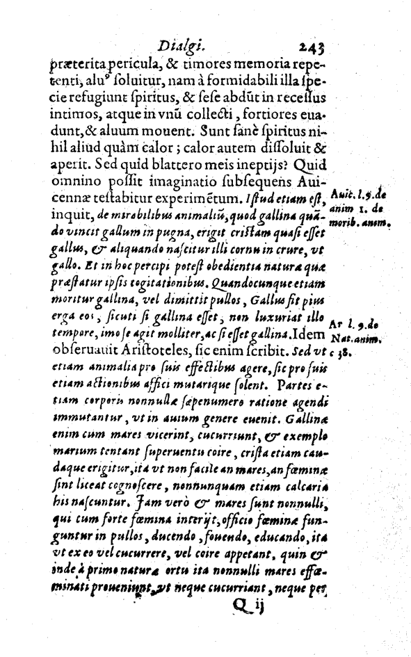 Adm, Pag. 243