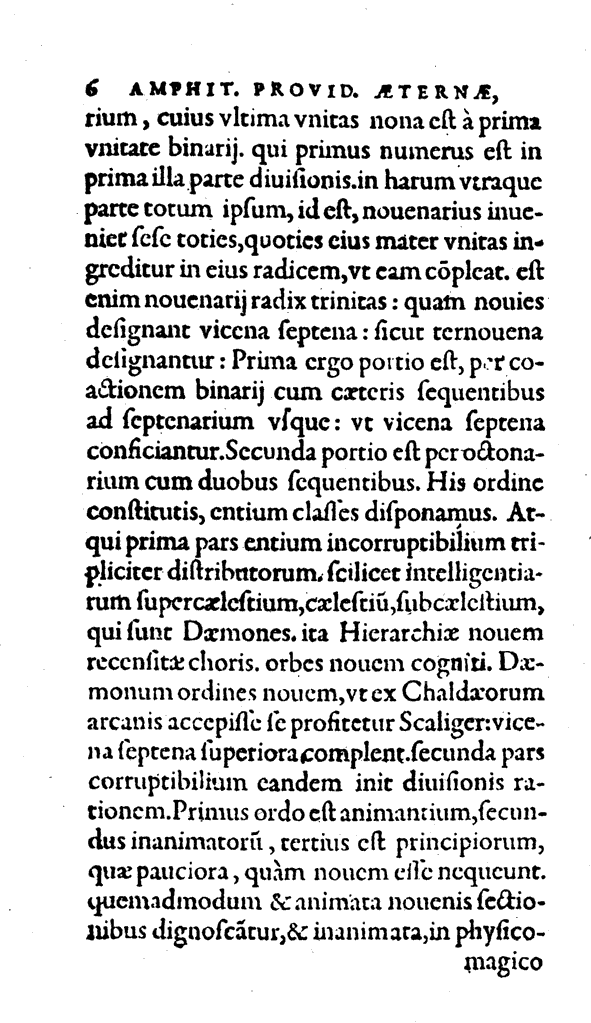 Amph, Pag. 6