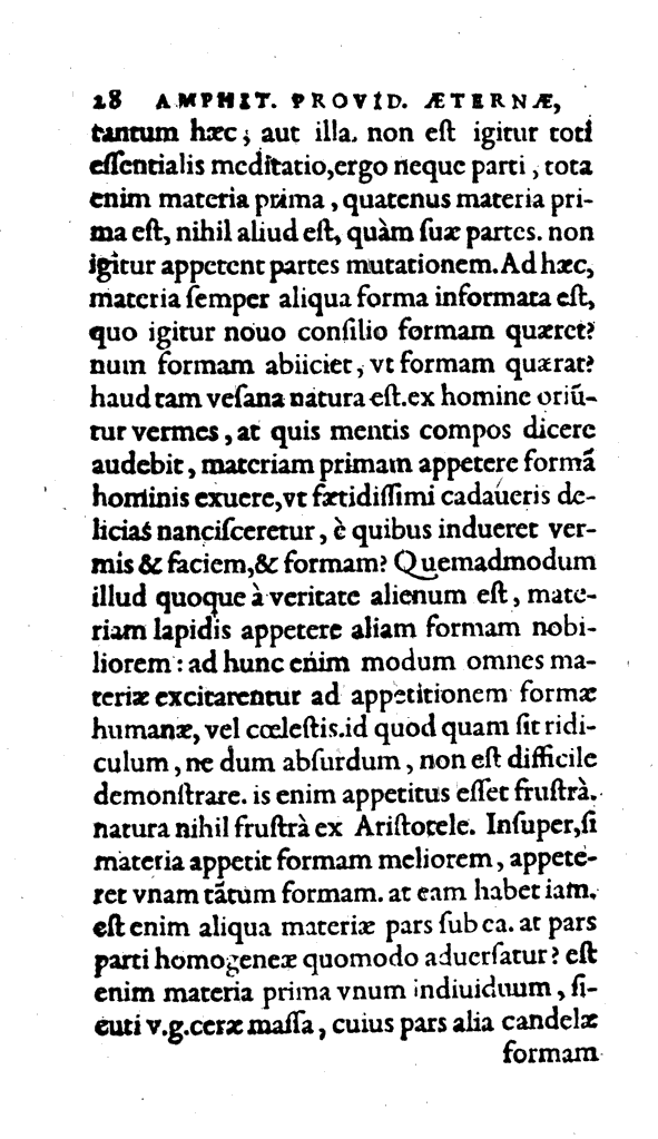Amph, Pag. 28