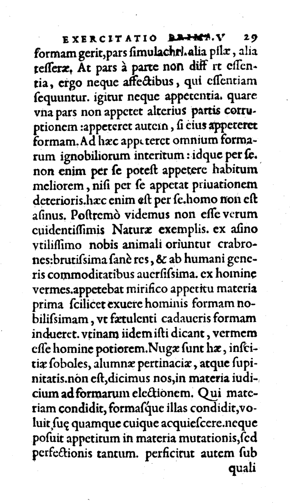 Amph, Pag. 29