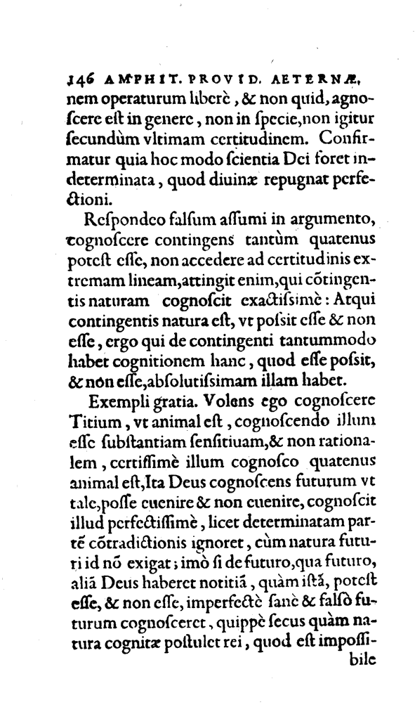Amph, Pag.  146