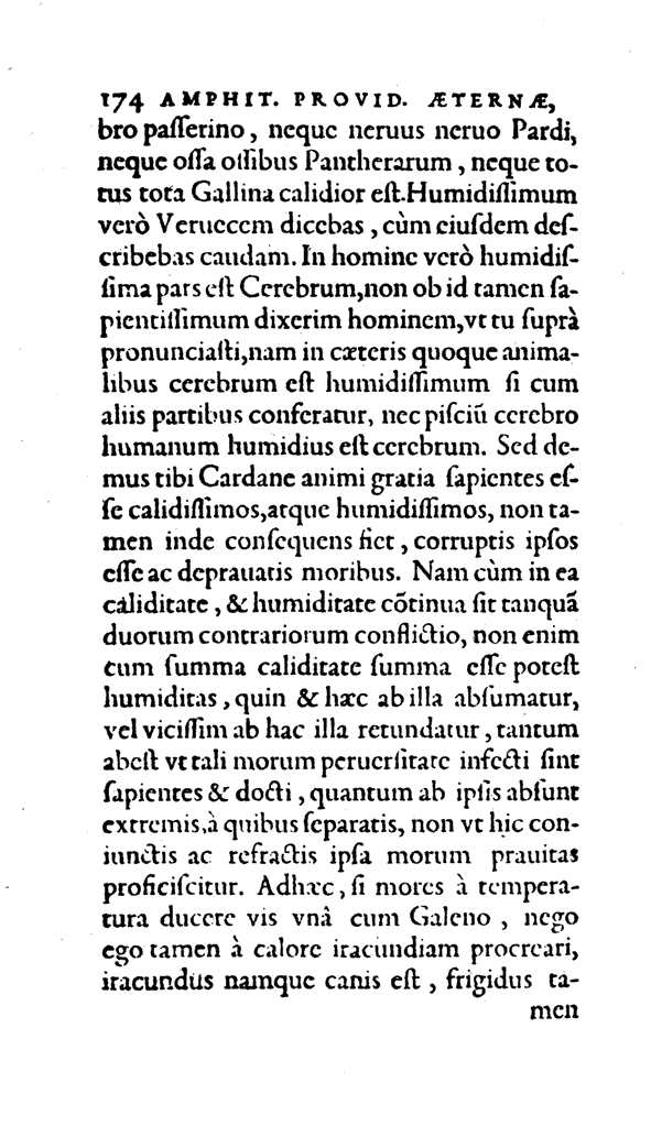 Amph, Pag. 174