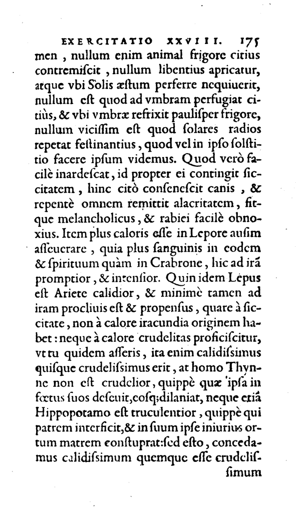 Amph, Pag. 175