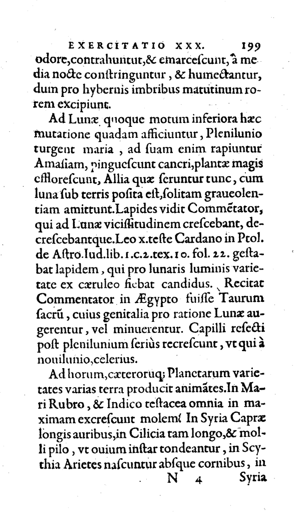Amph, Pag. 199